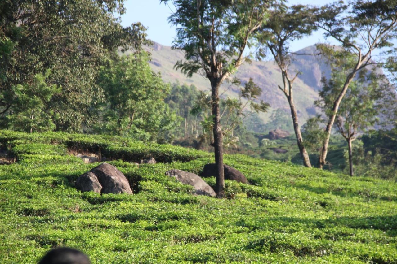 Chandys Windy Woods Munnar Eksteriør bilde